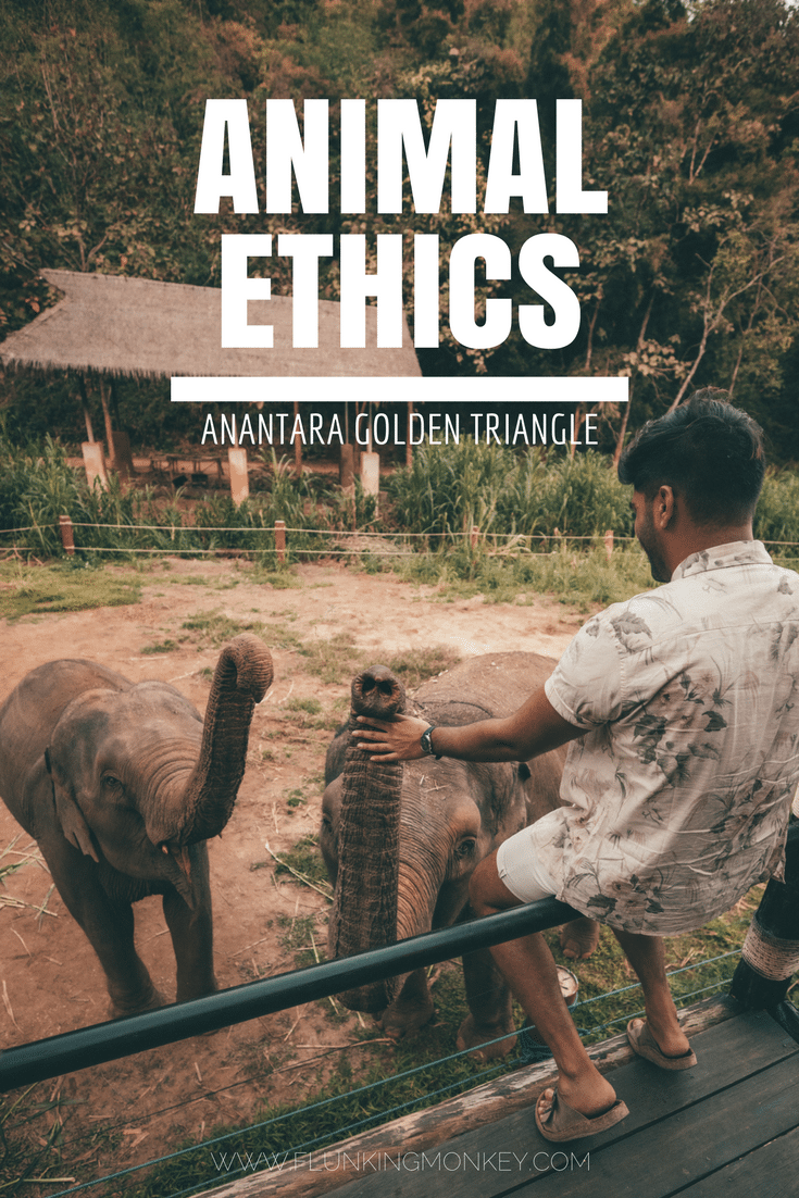 The Anantara Golden Triangle Elephant Camp & Resort is one of the worlds best experience hotels. Offering its guests breathtaking nature and animal interaction experiences whilst staying in a 5-star All Inclusive luxury Hotel. However, is this hotel living up to it's Animal Conservation Ethics?